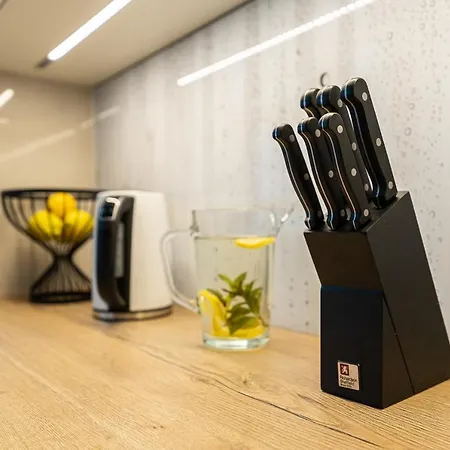 Apartman Bluebird Near Spodek Mck & Center Katowice