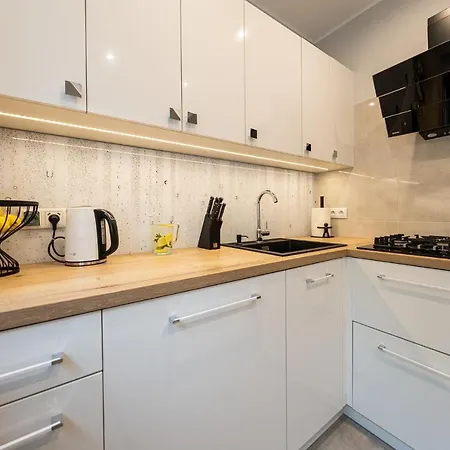 Apartman Bluebird Near Spodek Mck & Center