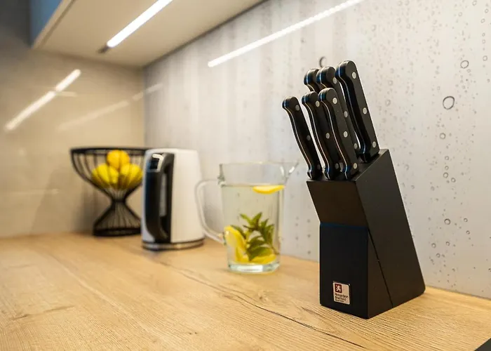 Apartman Bluebird Near Spodek Mck & Center Katowice